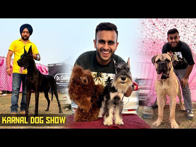 Biggest Dog show of Haryana! Karnal Dog show