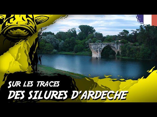 SUR LES TRACES DES SILURES D'ARDECHE - Black Cat Fishing