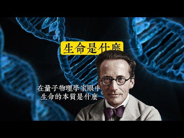 在量子物理學家眼中，生命的本質是什麽