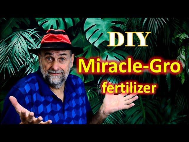 DIY Miracle-Gro Fertilizer  - Should You Use It? How good is it?