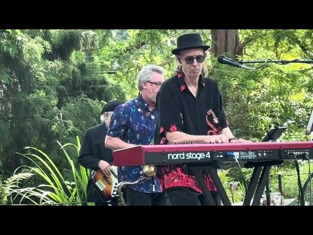 Crazy Love ️ - Moondance: Tribute to Van Morrison Live at The Ballard Locks in Seattle, WA 9/2/2024