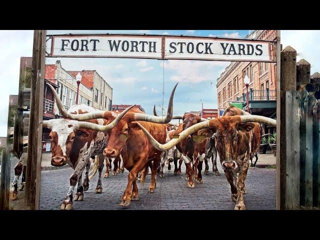 THIS IS FORT WORTH TEXAS… #YEEHAW ! 