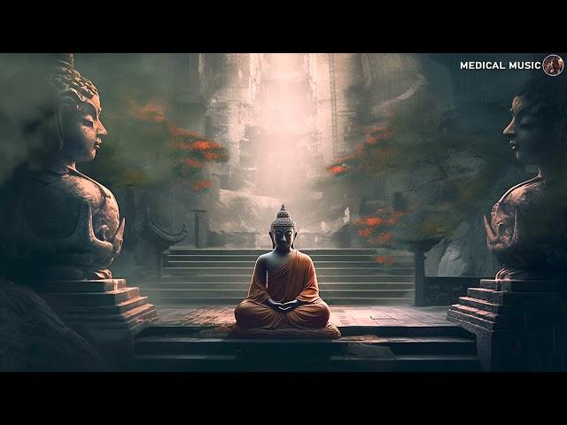 Transform Your Mind:  Calm Meditation - Inner Peace