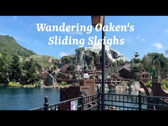 Wandering Oaken's Sliding Sleighs Disneyland Gala By Carpenter-O