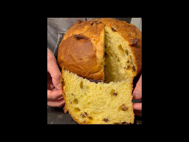 ricetta semplice panettone con lievito di birra ad impasto unico troppo buono e sofficissimo.