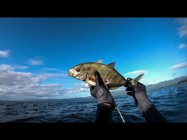 Trevallies & Surgeon Fish | Spearfishing | Sipaway Island, Philippines