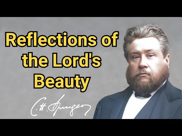 Reflections of the Lord's Beauty | Charles Spurgeon | Updated | Devotional | Faith's Checkbook