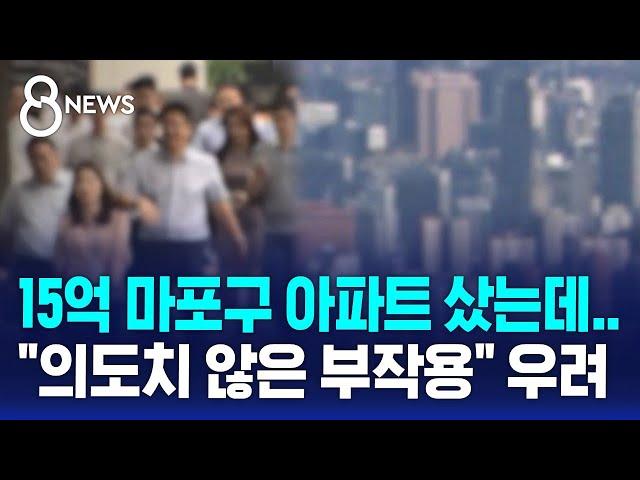 15억 마포구 아파트 샀는데…"의도치 않은 부작용" 우려 / SBS 8뉴스