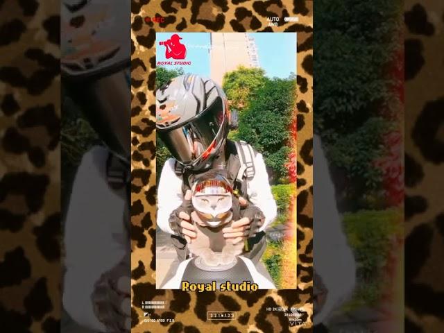 Rider pet cat riding in KTM bike editing Royal studio