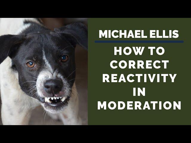 Michael Ellis on How to Correct Reactivity in Moderation