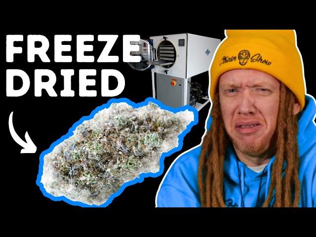 The Truth About Freeze-Drying (It’s Not What You Think)