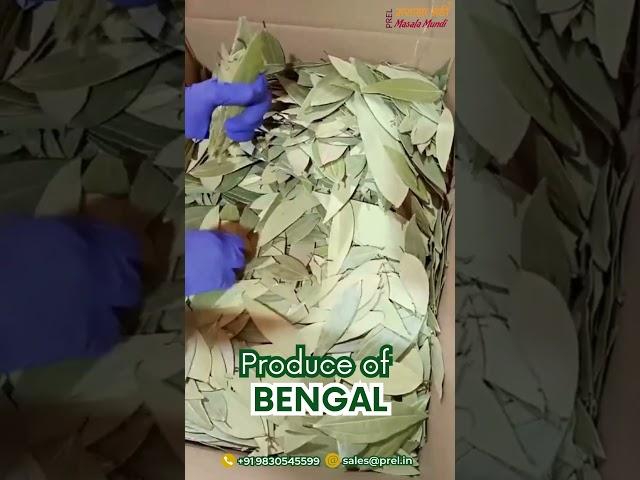 A1 HANDPICKED SELECTED BAY LEAVES | HPS | NO PIN HOLE | PRECISION