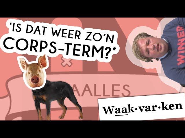 Wat is een WAAKVARKEN? - Taalles #26