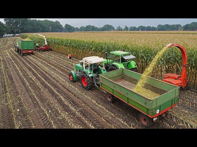 12 Oldtimer forage harvesters in action | Nordhorn 2020 | Mengele, MB Trac, Deutz, Eicher, IHC