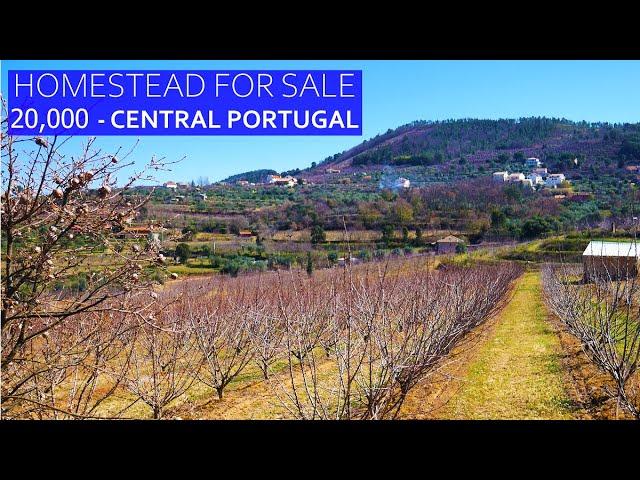 FUNDAO HOMESTEAD FOR SALE 20,000 - CHERRY & OLIVES IN CENTRAL PORTUGAL