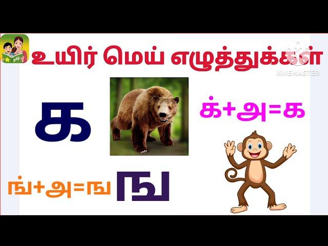 உயிர் மெய் எழுத்துக்கள் -கஙச | to learn Tamil Alphabets for kids|அ ஓசை வாய்பாடு | க்+அ=க் to ன்+அ=ன