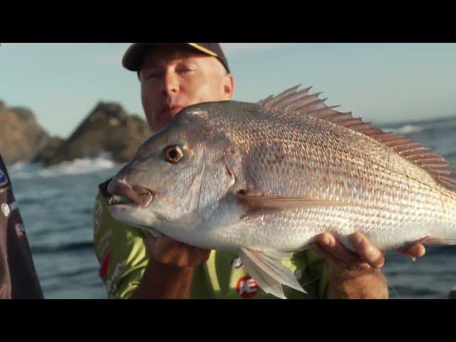 Early Morning Snapper Session (with Dom Thornley)