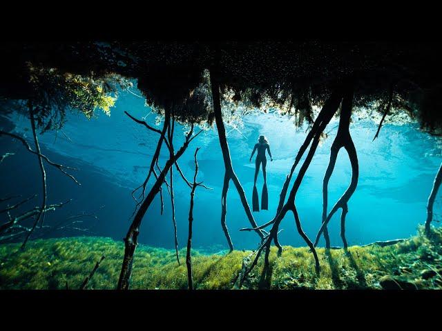 Child of the Cenote