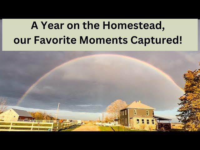 A Year on the Homestead! Thanksgiving Episode