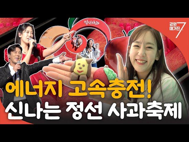 에너지 충전! 정선사과축제&찾아가는 음악회 / 강원매거진7 [강원도는 축제 중] / G1방송 / 20241108