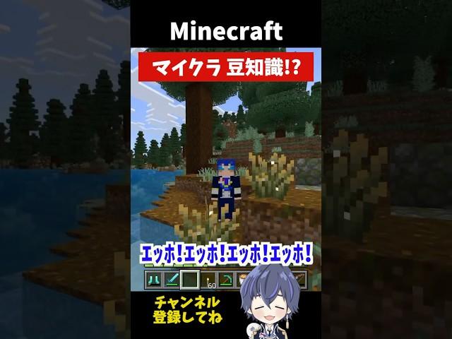 【マイクラ】みんな知ってる？マイクラ豆知識！