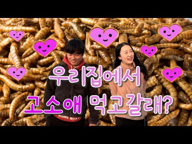 [Ep.336] Millworm annual sales of 300 million won! Lee Gye-yong