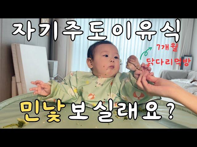 육아vlog | 자기주도이유식 하기전에 이거 보고 결정하세요! | 이유식하는 일상 | 7개월아기 닭다리먹방