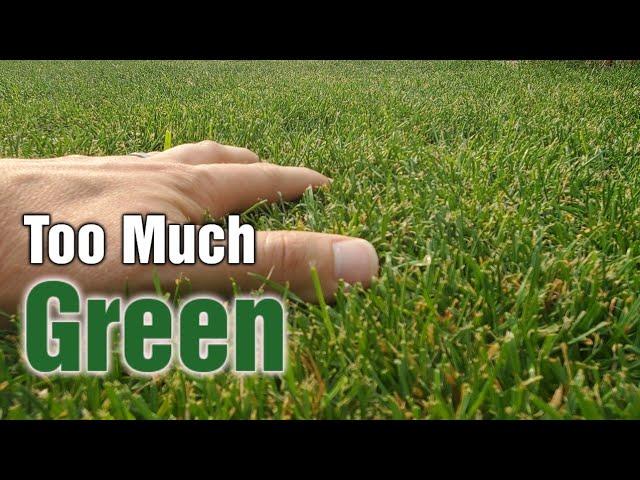 Few People Know This About DARK Green Lawns & Iron