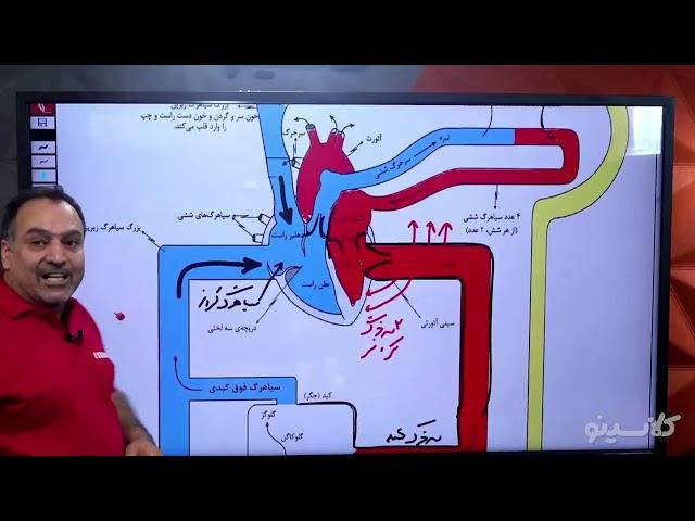 کلاسینو  First Classجلسه دوم کنکور1401 زیست استاد عمارلو