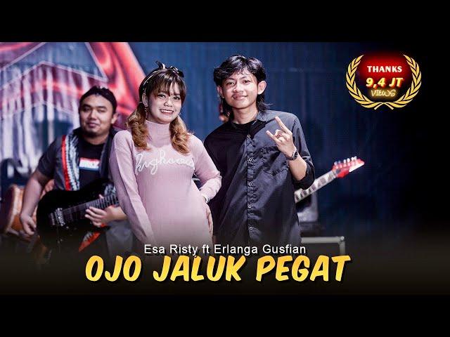 Ojo Njaluk Pegat - Esa Risty ft. Erlangga Gusfian | Viral TikTok Pancene Bener Kandane Bapak