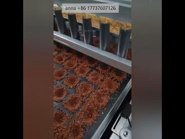 High speed Seedling Tray Machine Flower Seed Vegetable Seed Plug Planter Tray Seed Machine