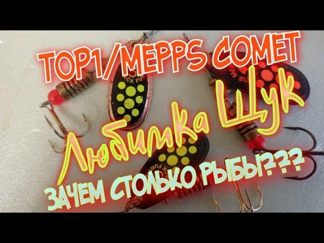 лучшая вертушка на щуку.С...КА! почему она всегда ловит??? зачем столько рыбы?Mepps Comet/Black Fury