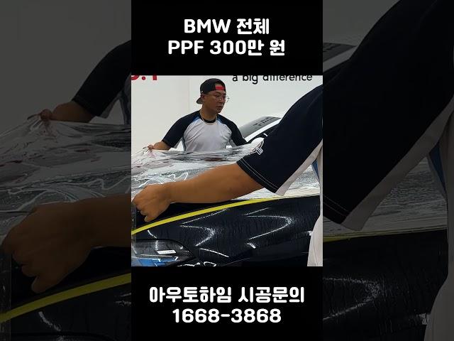 전체 PPF 프리미엄 시공비 300만 원