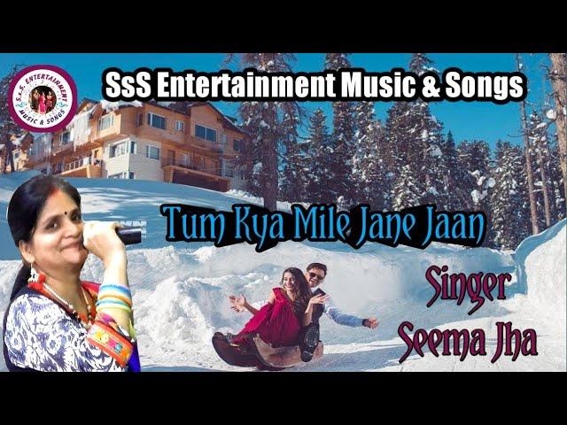 Cover: Seema Jha I tum kya mile song I Pooja bhatt i udit narayan I lata mangeshkar I ramlaxman  hit