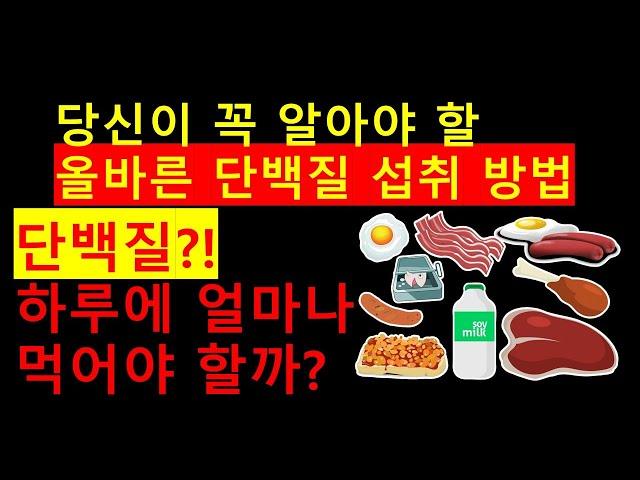 단백질의 효능은? 당신이 꼭 알아야 할 올바른 단백질 섭취 방법! 하루 권장 단백질은?