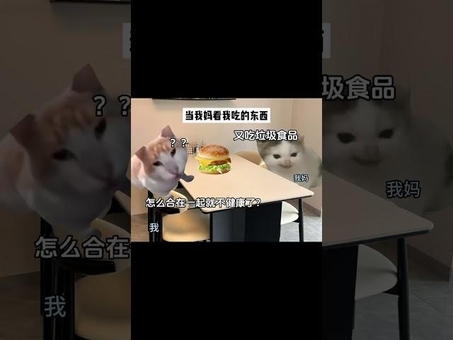 #猫meme #cat #猫meme小剧场 #猫meme剧场