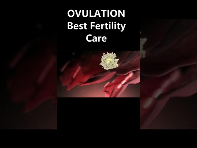 OVULATION / PREGNANCY/Best Gynaecologist Ahmedabad /Dr Dipti Jain / YouTube Shorts