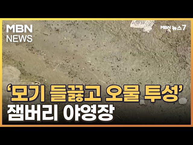 '모기 들끓고 오물 투성'…잼버리 야영장 내부 영상 확보 [MBN 뉴스7]