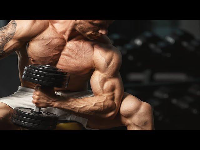 Best Workout Music Mix 2024  Best Gym Music 2024  Gym Motivation Music #13