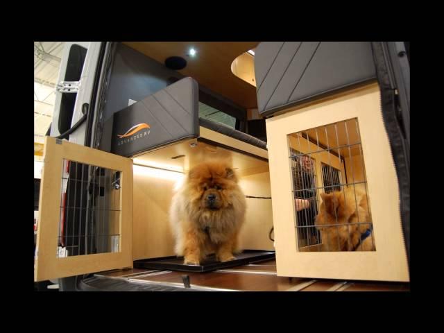 Mercedes Benz Sprinter 3500 Animal Friendly Design for Two Show Dogs - Advanced RV Custom Motorhome