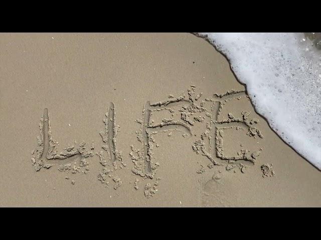 Life is a beach