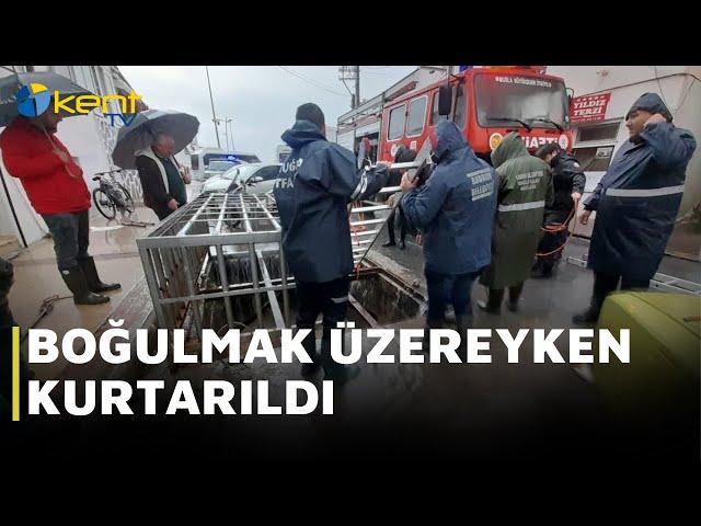 BOĞULMAK ÜZEREYKEN KURTARILDI