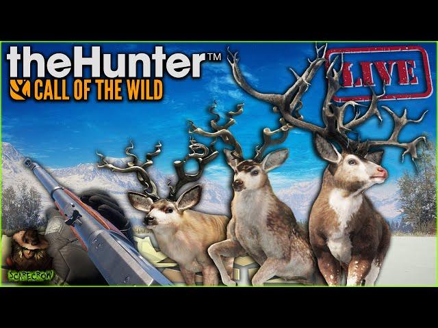 516 Bucks Into Great One Mule Deer Grind #2! Fully Herd Managed Askiy Ridge Grind! Call of the wild