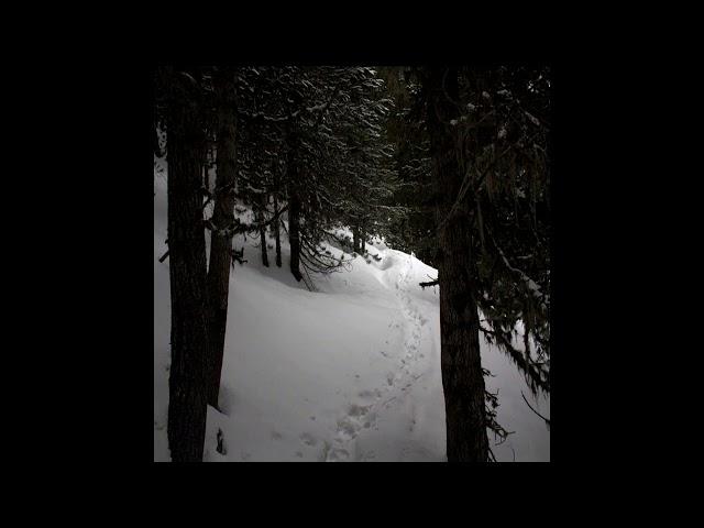 [FREE] greaf x surrenderdorothy type beat *broke the spell*