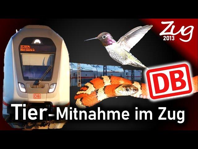 Darf man einen Vogel im Zug mitnehmen? | Tier-Mitnahme in der Bahn - Zug2013