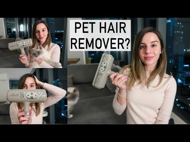 How to remove pet hair? || Chom Chom roller review