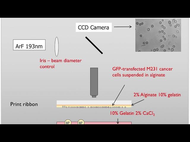 Laser direct-write bioprinting