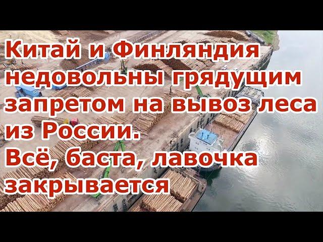 Запрет на экспорт в России леса кругляка вызвал недовольство Китая и Финляндии новости сегодня видео