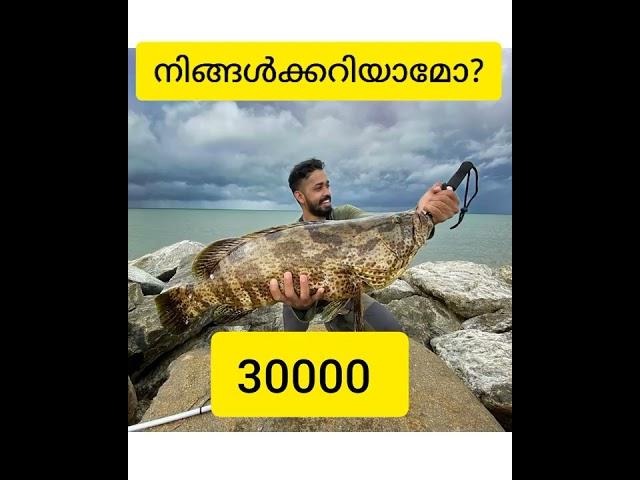 Fact about fishing freaks #fishingfreaks #shorts #trending #shortvideo #ntikworld