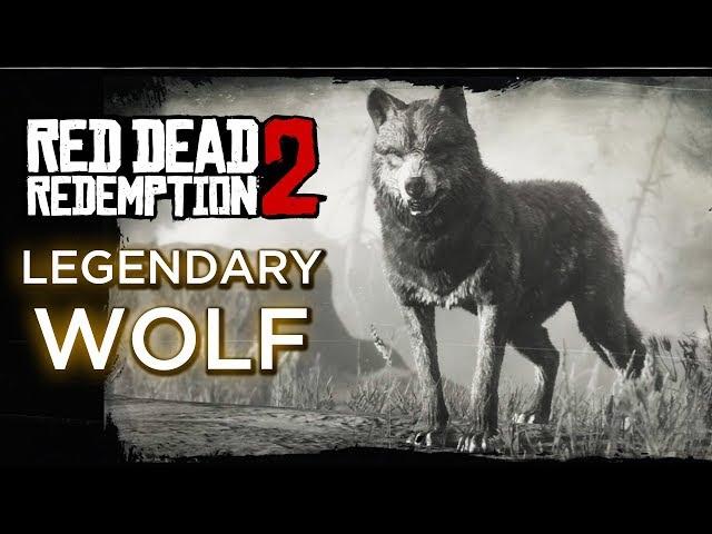 Red Dead Redemption 2 - Legendary Wolf